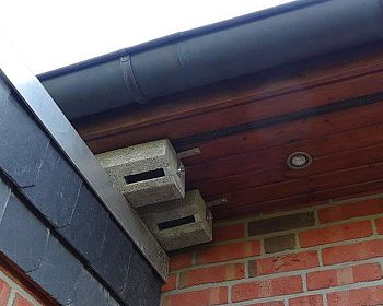 Schaffung von künstlichen Nistmöglichkeiten