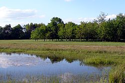 Kleingewässerschutz