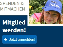 Spenden und Mitmachen