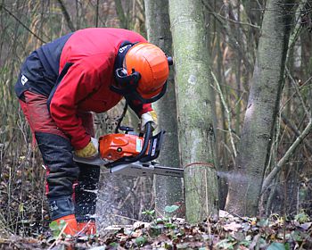 NAJU Gewässerpflege im Wietezepark